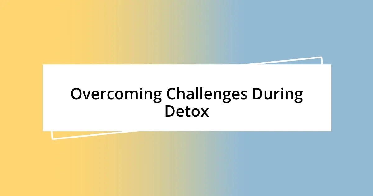 Overcoming Challenges During Detox